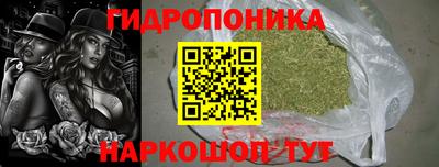 скорость Балахна